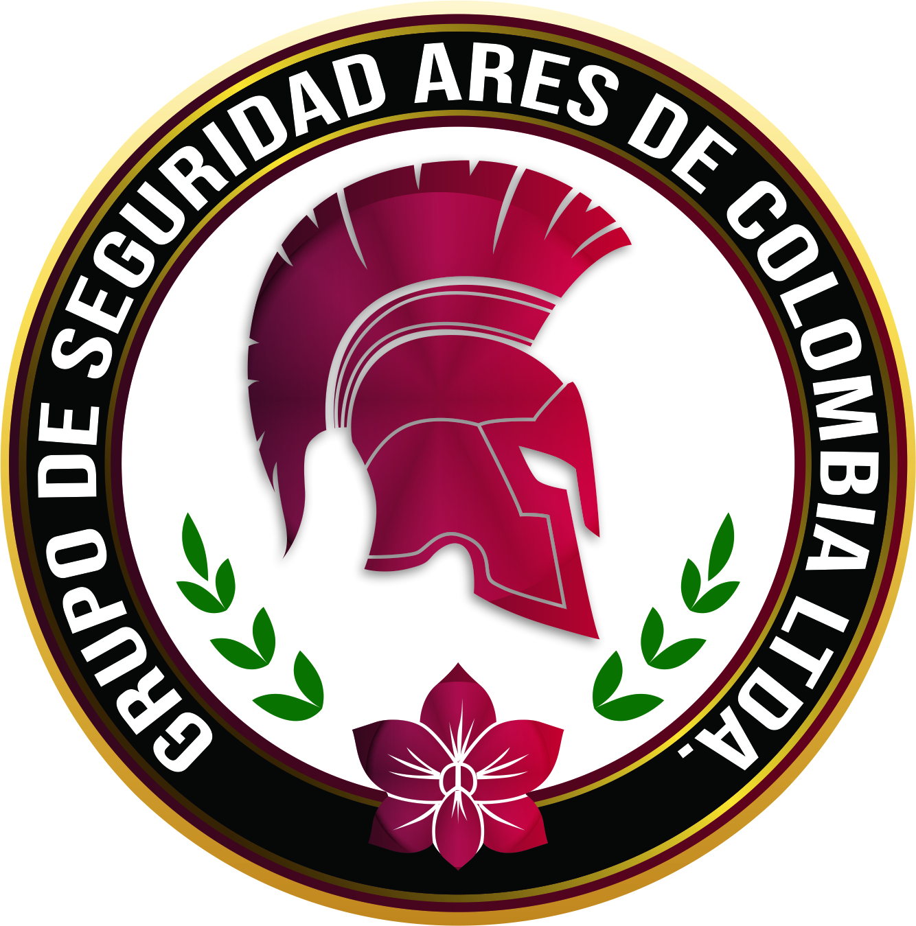 Grupo de seguridad Ares De Colombia Ltda.